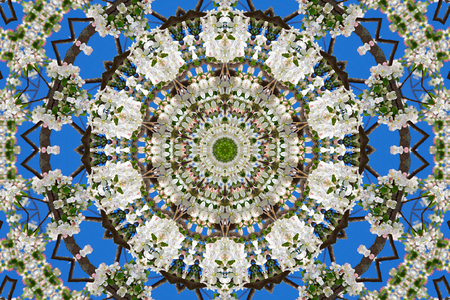 abstract background of floral pattern of a kaleidoscope. white blue green background fractal mandala. abstract kaleidoscopic arabesque. geometrical ornament flower patternの写真素材
