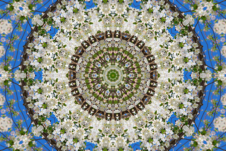abstract background of floral pattern of a kaleidoscope. white blue green background fractal mandala. abstract kaleidoscopic arabesque. geometrical ornament flower patternの写真素材