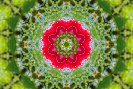 abstract background of floral pattern of a kaleidoscope. pink blue green background fractal mandala. abstract kaleidoscopic arabesque. geometrical ornament flower patternの写真素材