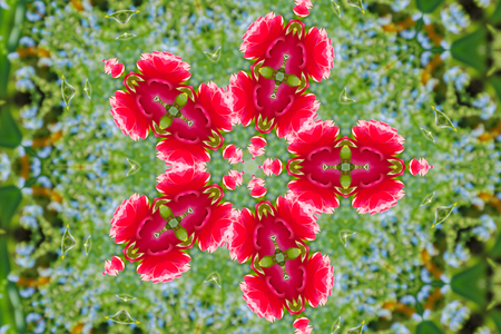 abstract background of floral pattern of a kaleidoscope. pink blue green background fractal mandala. abstract kaleidoscopic arabesque. geometrical ornament flower patternの写真素材