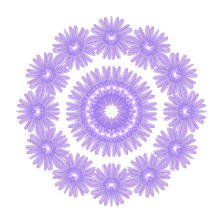 Floral circle  isolated on white background. Round of purple flowers, design elementの写真素材