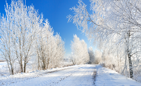 beautiful winter rural landscape with forest and road. snowy sceneryの写真素材