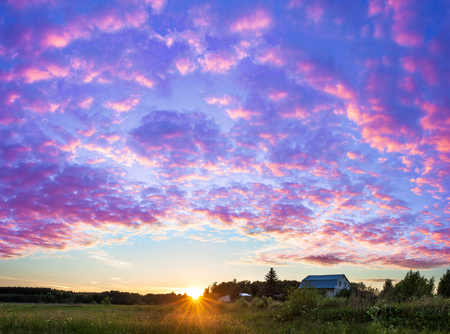 beautiful rural summer landscape panorama with sunset. purple scenery with clouds in sky, panoramic viewの写真素材