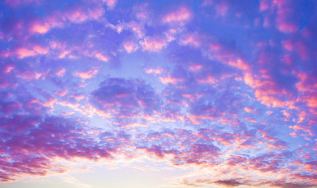 beautiful summer landscape with sunset. purple scenery with clouds in sky, panoramic viewの写真素材