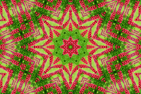 abstract background of flower pattern of a kaleidoscope. red green background fractal mandala. abstract kaleidoscopic arabesque. geometrical ornament  floral patternの写真素材