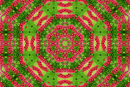 abstract background of flower pattern of a kaleidoscope. red green background fractal mandala. abstract kaleidoscopic arabesque. geometrical ornament  floral patternの写真素材