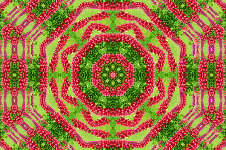 abstract background of flower pattern of a kaleidoscope. red green background fractal mandala. abstract kaleidoscopic arabesque. geometrical ornament  floral patternの写真素材