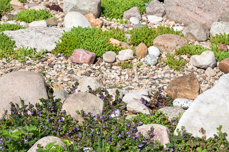 rock garden. gardening background. gardener backyard design elementの写真素材