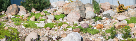 panorama of rock garden. gardening background panoramic view. gardener backyard design elementの写真素材