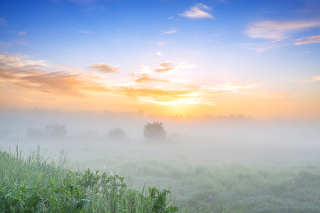 beautiful summer landscape with sunrise and fog. panoramic view of sky and sunsetの写真素材