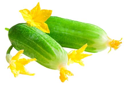 green fresh cucumbers isolated on white backgroundの写真素材