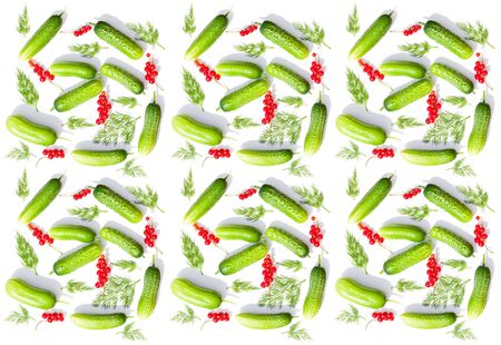 green fresh cucumbers and red currant isolated on white background.  berries and vegetable set flat design element. seamless background pattern green vegetable cucumber and dillの写真素材