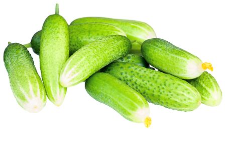 green fresh cucumbers isolated on white backgroundの写真素材