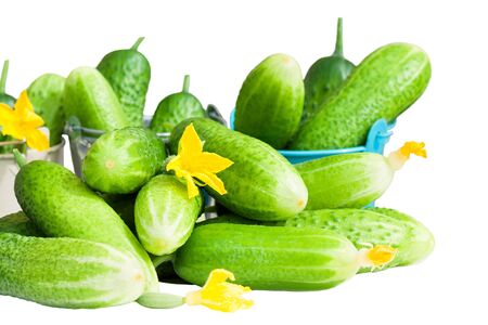 green fresh cucumbers isolated on white backgroundの写真素材