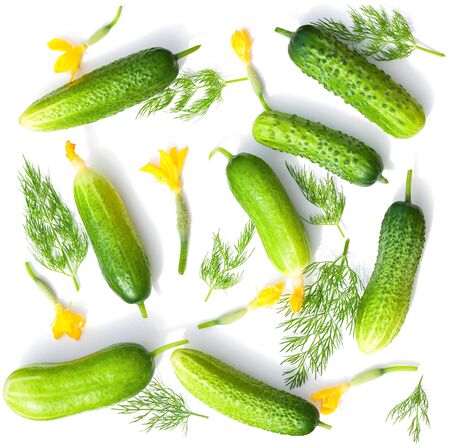 green fresh cucumbers isolated on white background. vegetable set flat design element. seamless background pattern green vegetable cucumber and dillの写真素材