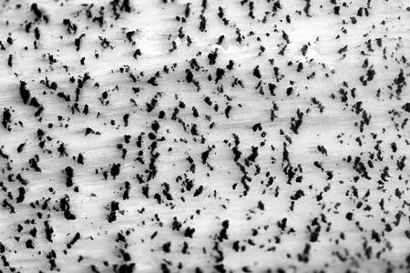 abstract black and white background of mushroom macro closeup. microorganism boletus close upの写真素材