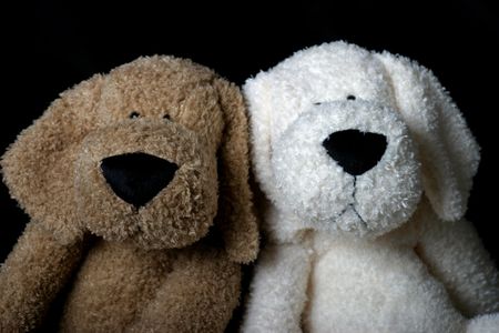 Two stuff dog, a brown and a white, sitting side by sideの写真素材