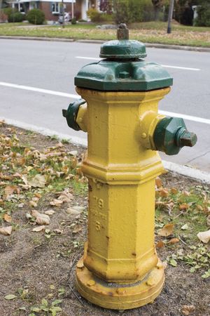 Green and yellow fire hydrant on street cornerの写真素材