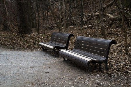 two park bench by the side of a path