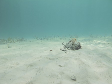 Rock underwater at the bottom of a sandy beach