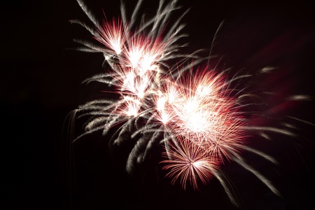 Firework display against black skyの写真素材
