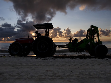 Beachcomber passing in front of the sun at sunriseの写真素材