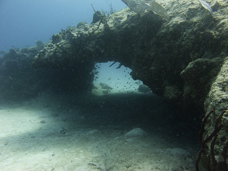 Coral reef arch at the bottom of the seaの写真素材