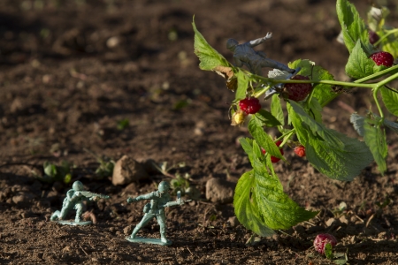 two green toy soldier fighting with a gray soldier for raspberryの写真素材