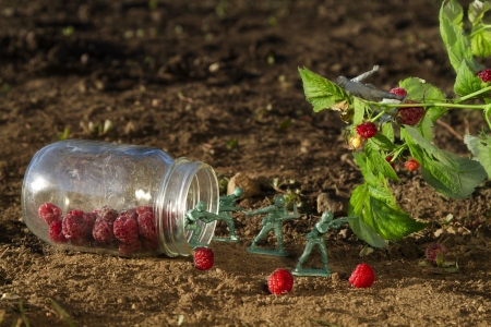 four green toy soldier protecting a jar of raspberry against a gray soldierの写真素材
