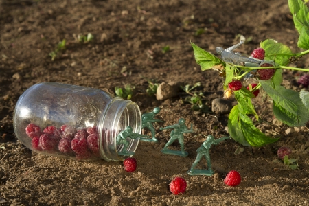 four green toy soldier protecting a jar of raspberry against a gray soldierの写真素材