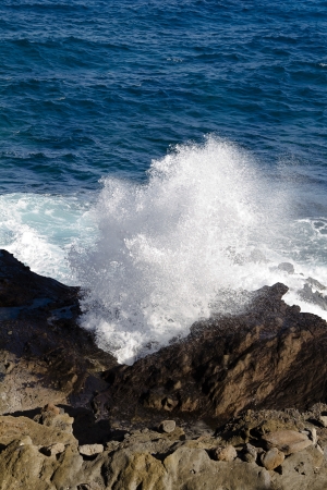 close up of the Halona blowhole pushing out waterの写真素材