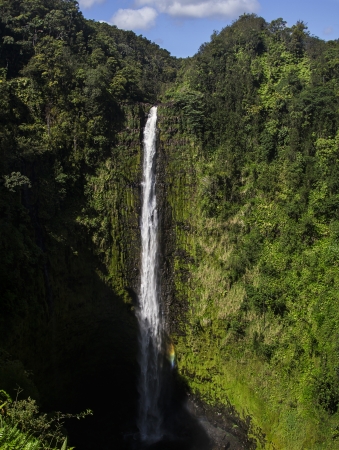 Spectacular Akaka Falls with rainbow, 420 feet high waterfall north of Hilo on Big Island, Hawaii.の写真素材