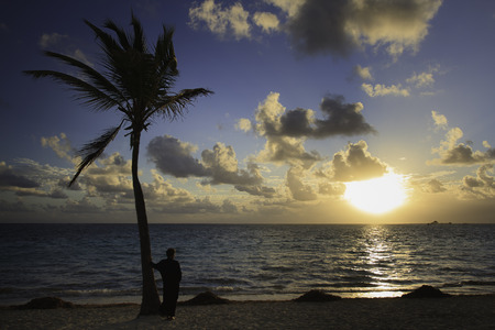 woman leaning on a palm tree looking at the sunriseの写真素材