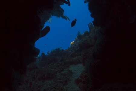 Looking through a hole of a coral reefの写真素材