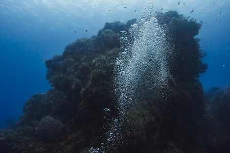 scuba diver bubble in front of a coral reefの写真素材