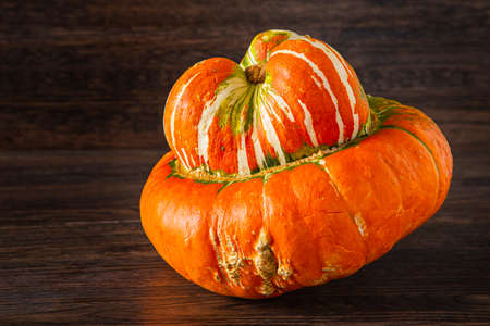 Turban squash against a dark wood backgroundの写真素材