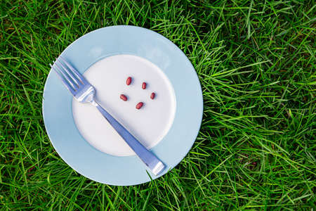blue rimmed plate, on grass, with a metal fork and five dry red beansの写真素材