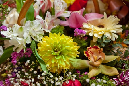 Bunch of flowersの写真素材
