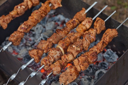 Shish kebab on coalsの写真素材