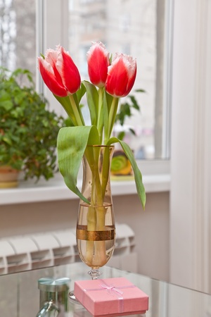 Pink tulips in a vase a gift on a tableの写真素材