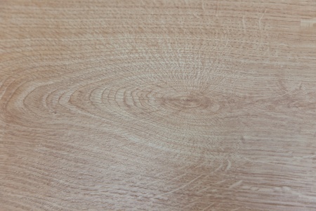Tree structure on a laminateの写真素材