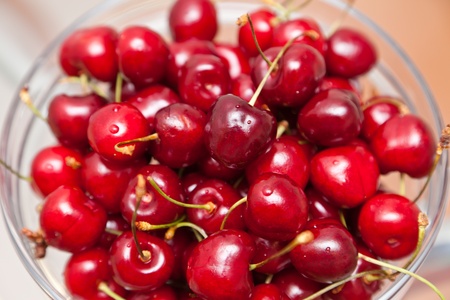Ripe, red cherryの写真素材