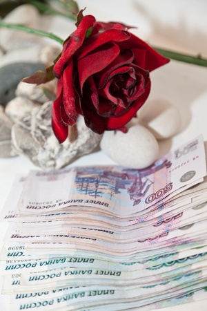 Paper moneyの写真素材