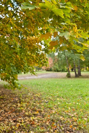 Autumn parkの写真素材