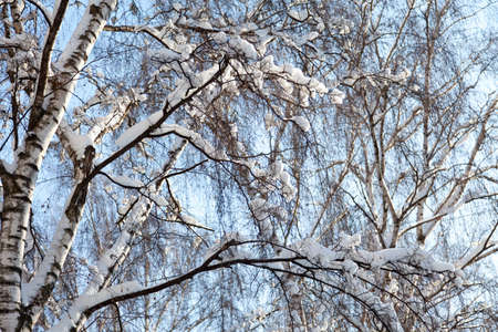 The natureの写真素材