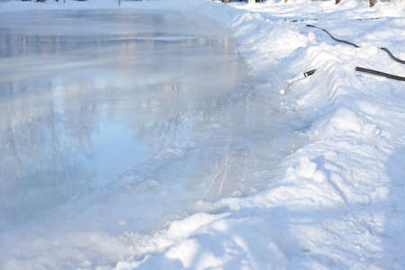 The natureの写真素材