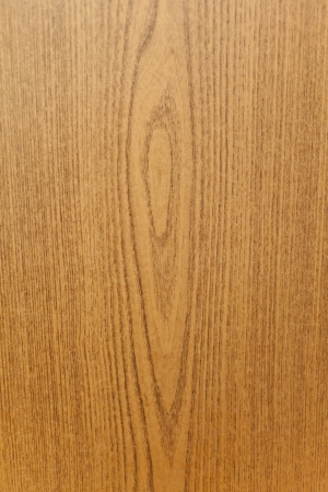 Tree structureの写真素材