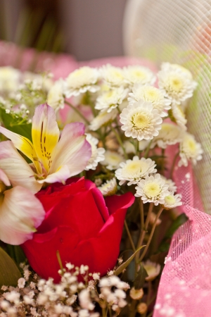 Flowersの写真素材
