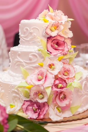 Wedding Cakeの写真素材
