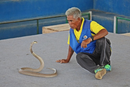 KHONKAEN, THAILAND â MAY 14, 2018:  Snake,  unidentified man shows playing with a snake, the dangerous show.のeditorial素材